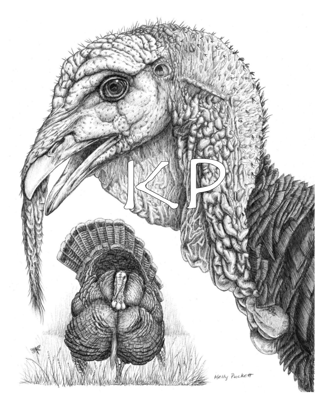 turkey art print