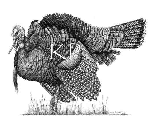 wild turkey print